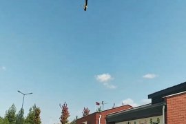 Yaralı leyleğe Büyükşehir şefkati