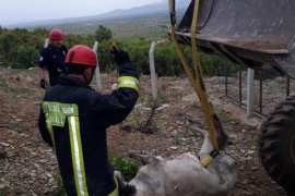 DENİZLİ'DE KUKUYA DÜŞEN ATIN İMDADINA İTFAİYE YETİŞTİ