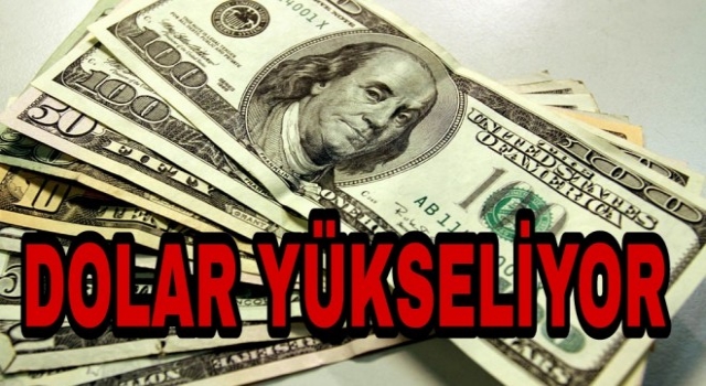 Dolar Yükseliyor Mu?