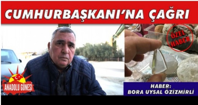 CUMHURBAŞKANI’NA ÇAĞRI (İKİ)…