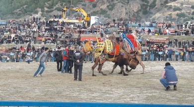 Develer Üniversite İçin Güreşti