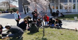 Acıpayam MYO Renk Renk Çiçek Açtı